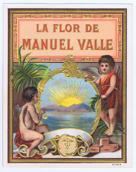 LA FLOR DE MANUEL V...