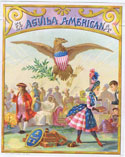 Aguila+americana