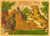 Show product details for ANTONIO FIZ