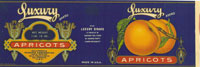 Show product details for LUXURY APRICOTS 1 lb 14 oz