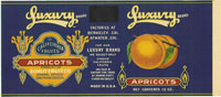 Show product details for LUXURY APRICOTS 15 oz