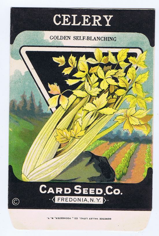 Card Seed Co. Celery