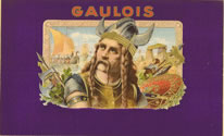 GAULOIS purple