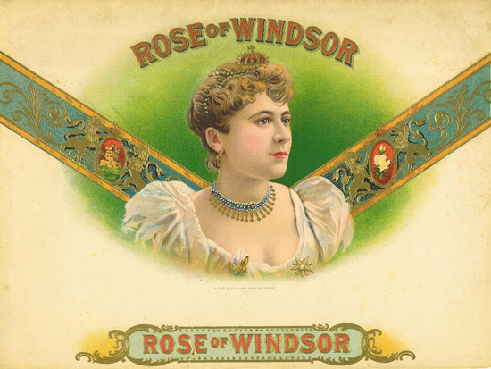 ROSE OF WINDSOR