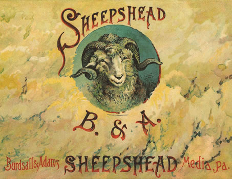SHEEPSHEAD