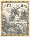 LA PERLA HAVANESA