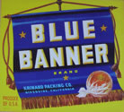 BLUE BANNER