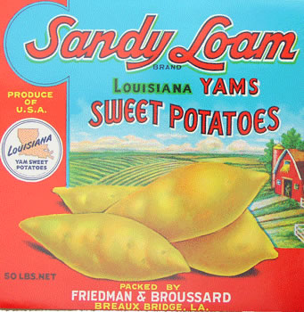 SANDY LOAM