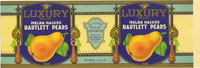 LUXURY BARTLETT PEARS 1lb. 14 oz