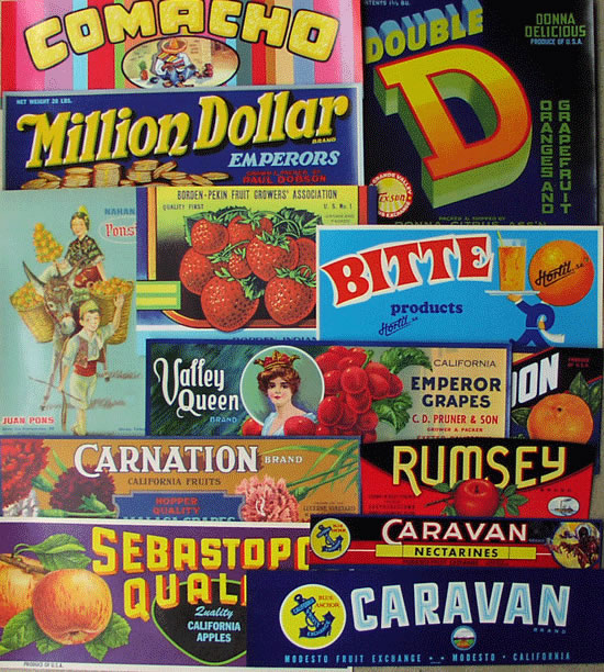 FRUIT CRATE LABELS JUNIOR COLLECTION