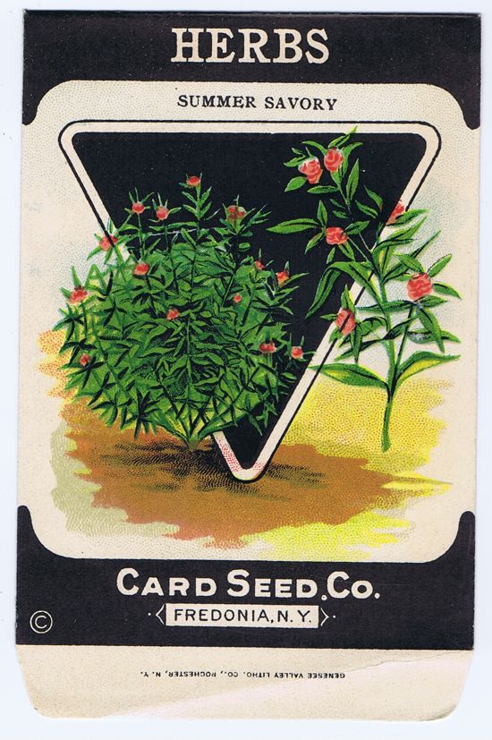 Card Seed Co. Carrots
