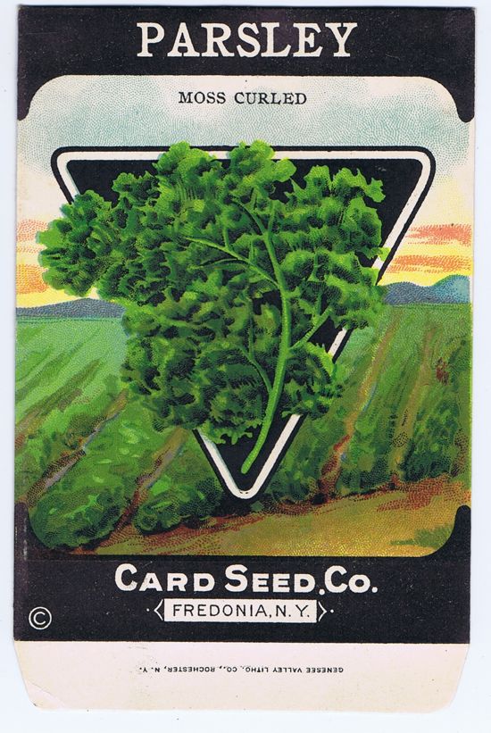 Cerebro | Seed packs and packets | Unique Antique Label Art