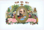 FLOR DEL REY